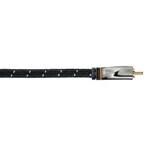 Avinity Digitale Cinch-kabel 1 Stekker - 1 Stekker Stof Verguld 3 M Avinity Digitale Cinch-kabel 1 Stekker - 1 Stekker Stof Verguld 3 M